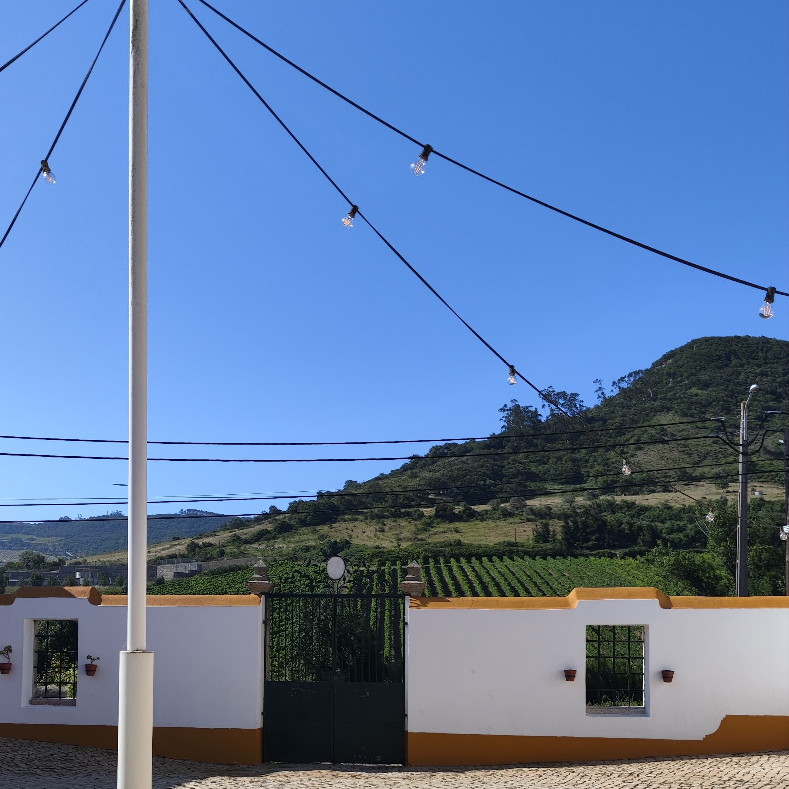 Foto dos Noivos 3